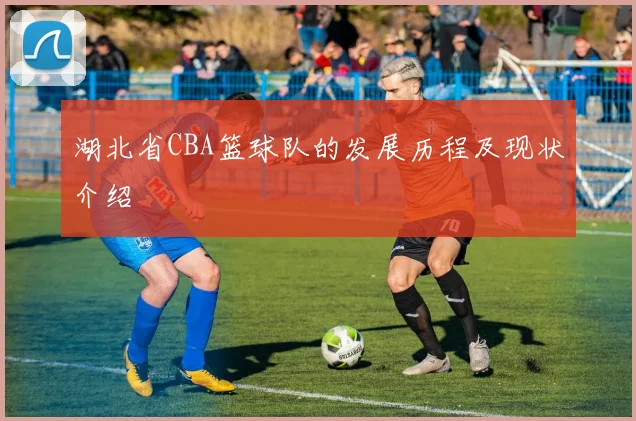 湖北省CBA篮球队的发展历程及现状介绍