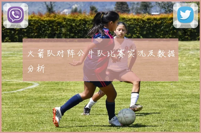 火箭队对阵公牛队比赛实况及数据分析