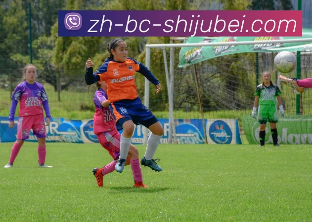 世界杯赛程表服务体系