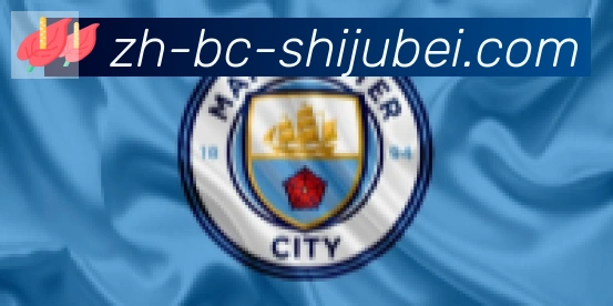世界杯赛程表合作伙伴